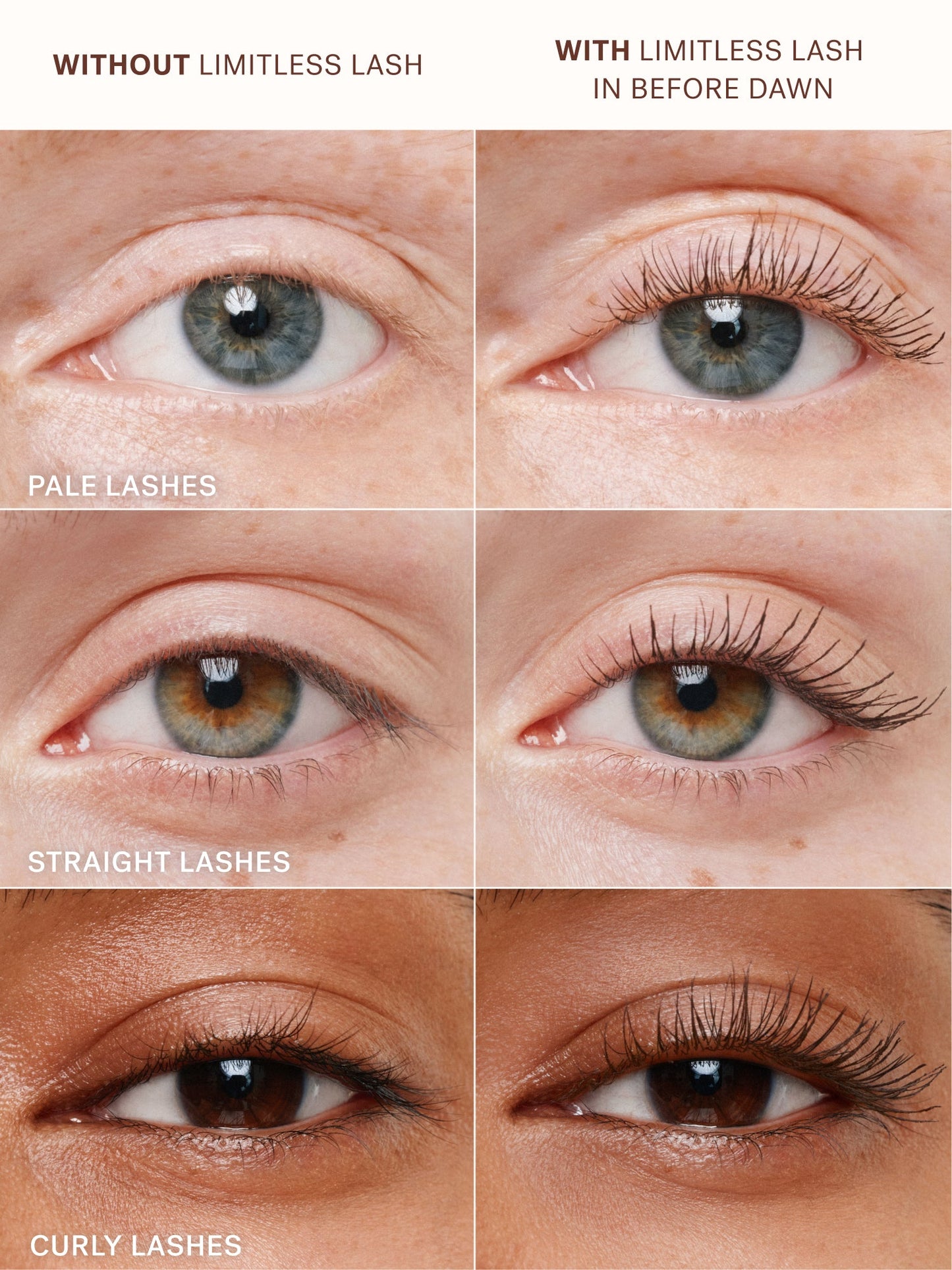 The Complexion + Color Set