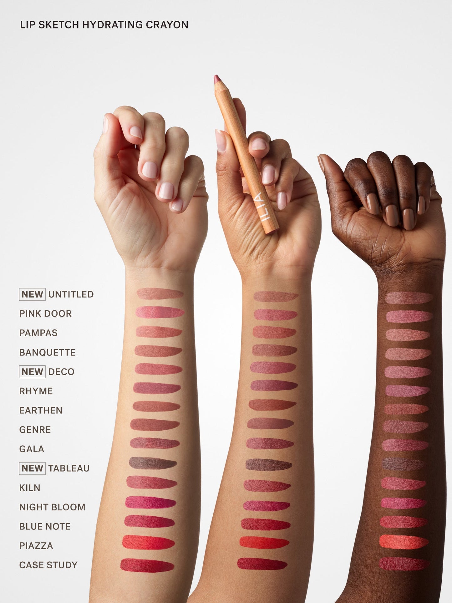 The Complexion + Color Set