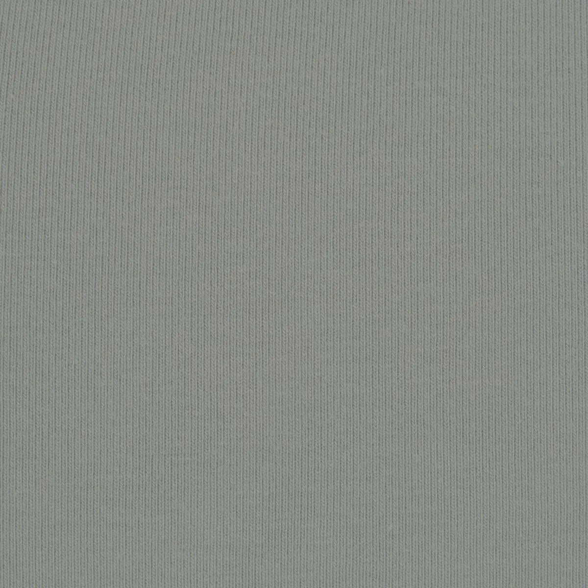 IMG_2127.webp