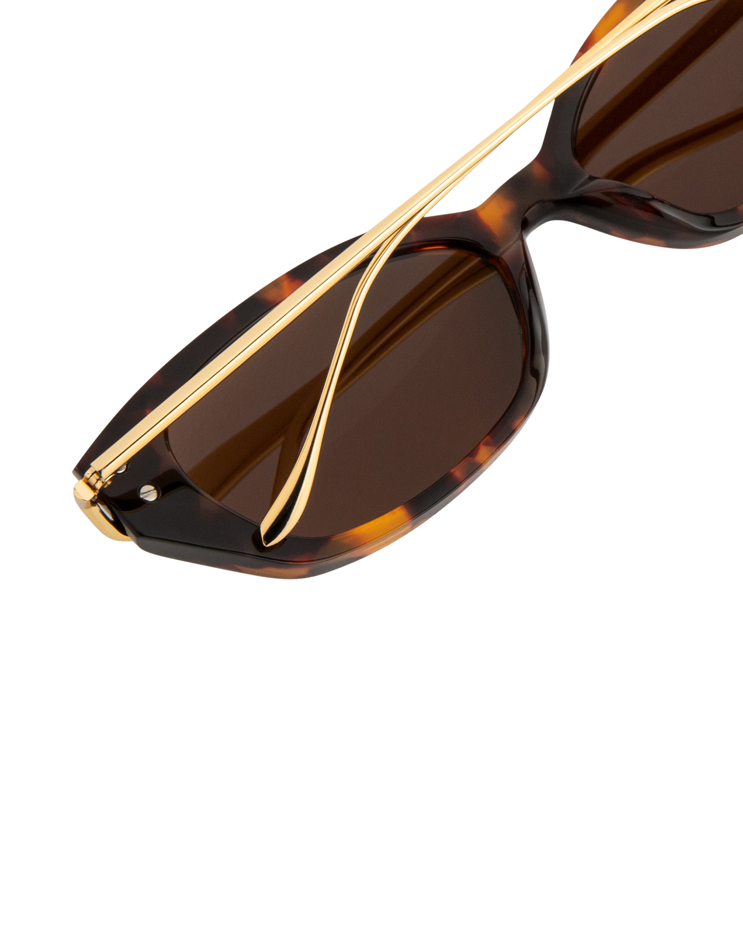 Layal - Tortoise Sunglasses