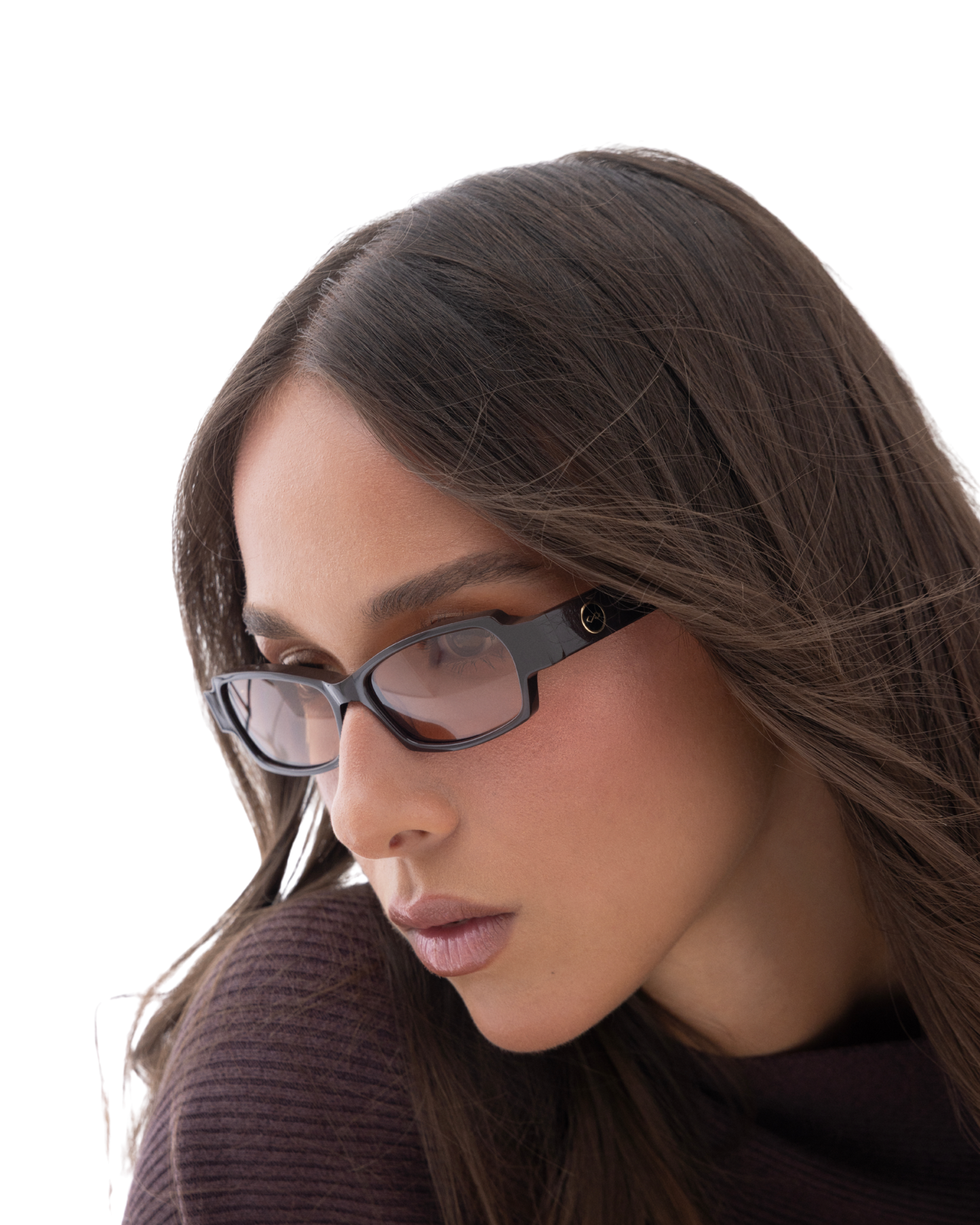 Raya - Tinted Brown Sunglasses