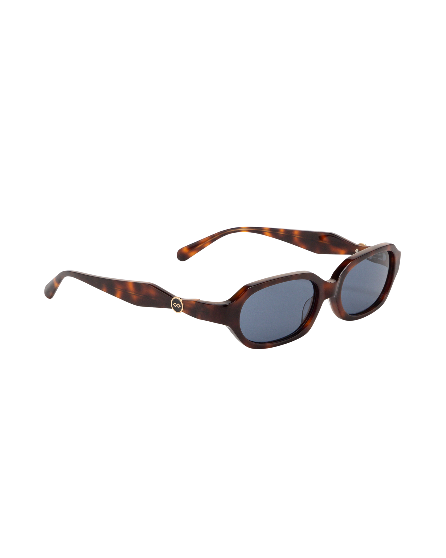 River - Blue on Tortoise Sunglasses