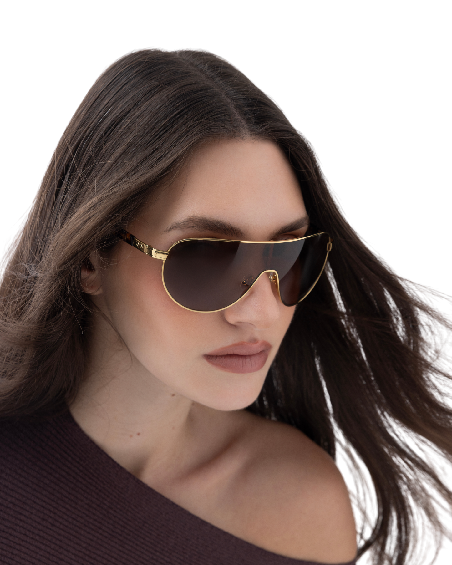 Rob - Brown Sunglasses